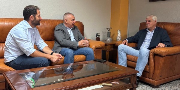 Reunión Cabildo de El Hierro