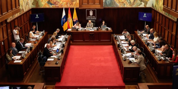 Pleno del Cabildo 29 de mayo Pleno del Cabildo 29 de mayo