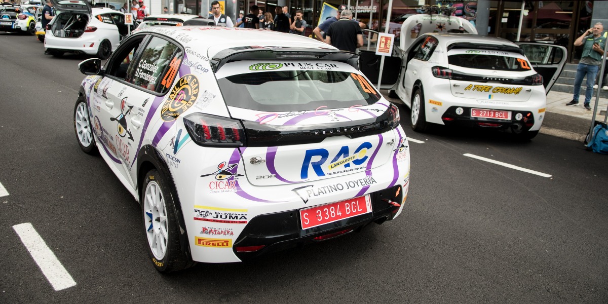 Peugeot 208 Rally4