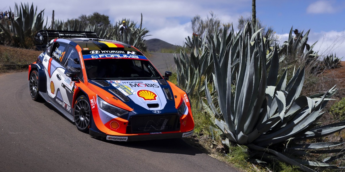 Thierry Neuville/Martijn Wydaeghe