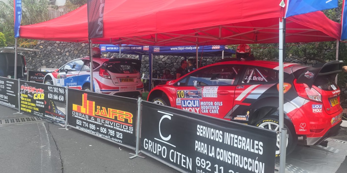 Ford Fiesta R5 Plus