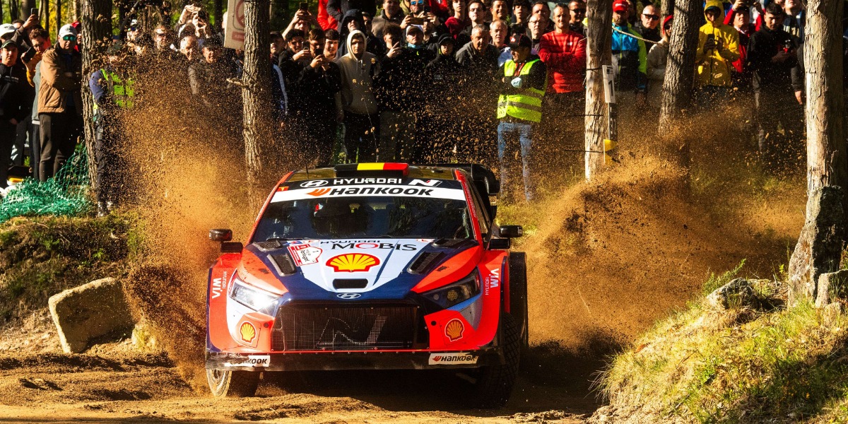 Thierry Neuville / Martijn Wydaeghe