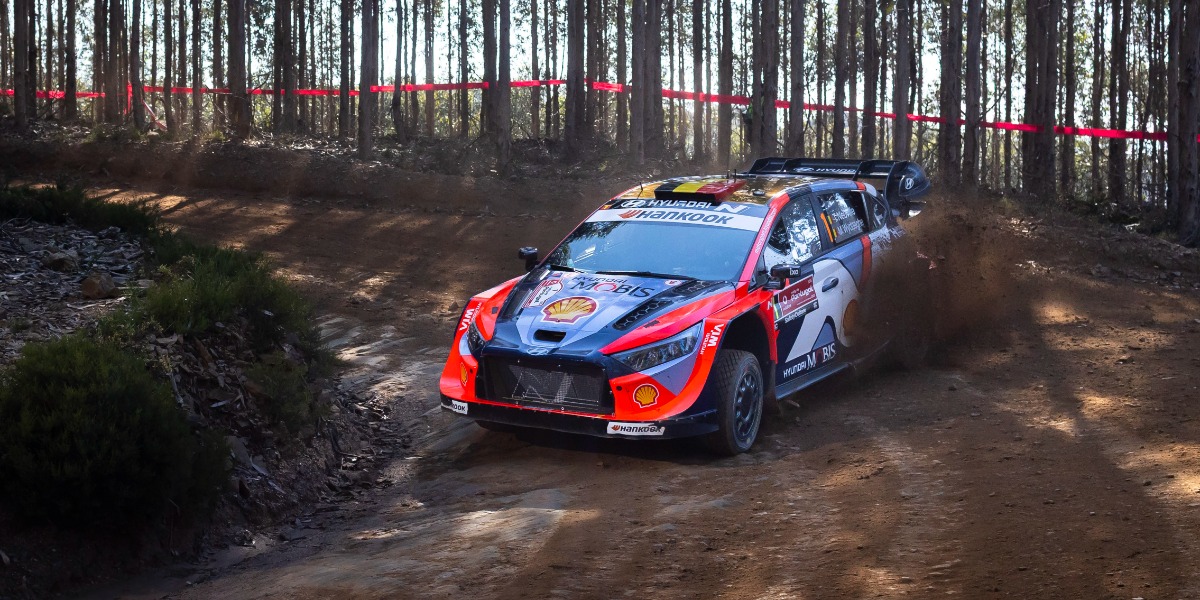 Thierry Neuville/Martijn Wydaeghe