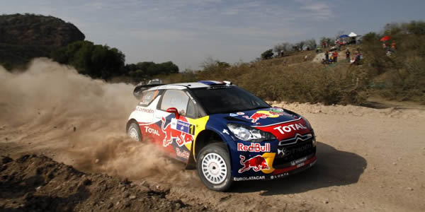 Loeb líder Loeb líder