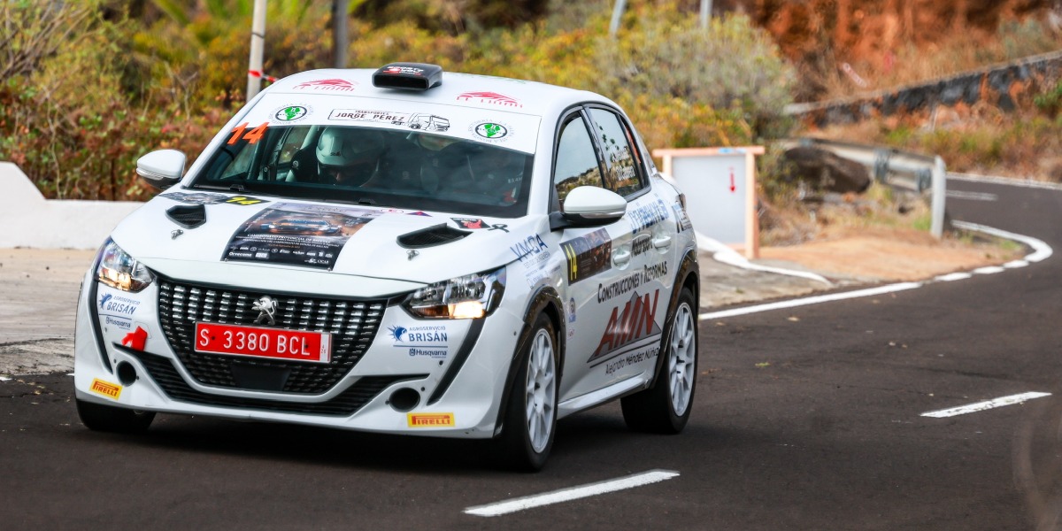 Alejandro Méndez y Daniel Cabrera (Peugeot 208 Rally4)