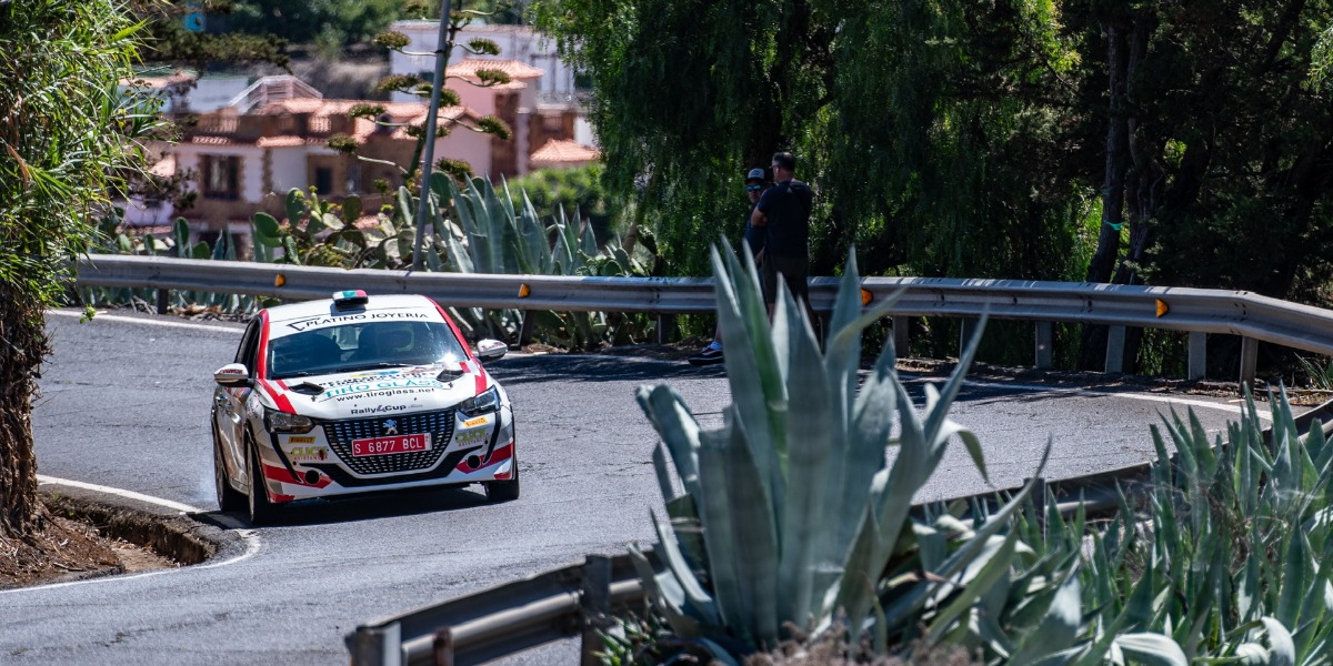 Peugeot 208 Rally4