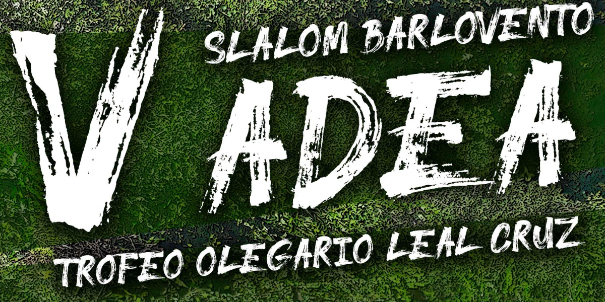 V Slalom ADEA 2025