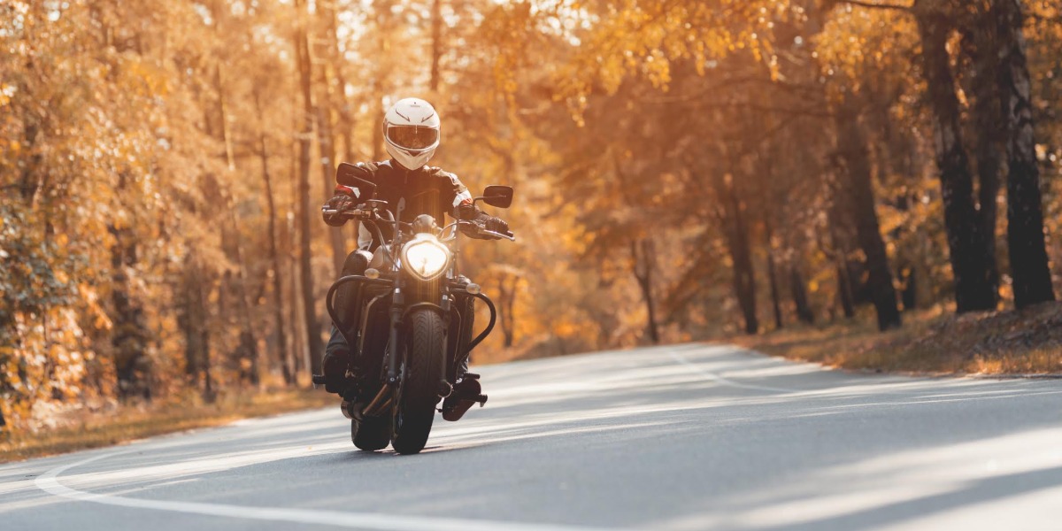 Artículo patrocinado