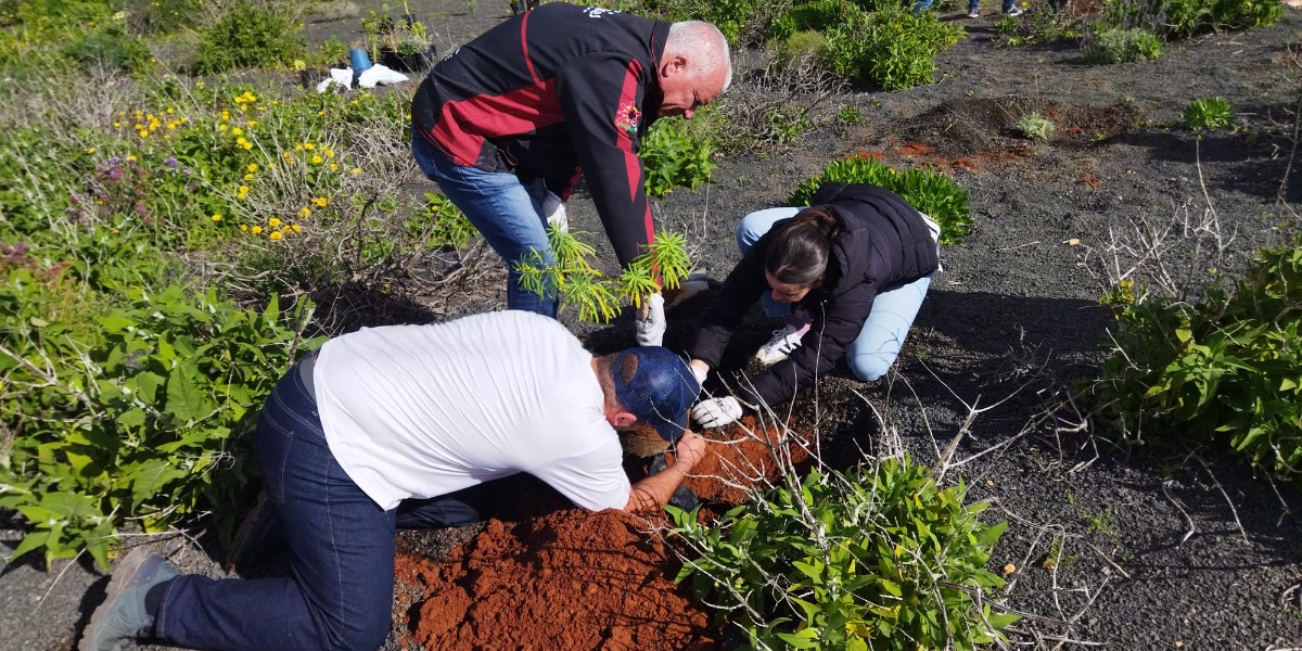 Jornada ambiental en Lanzarote
