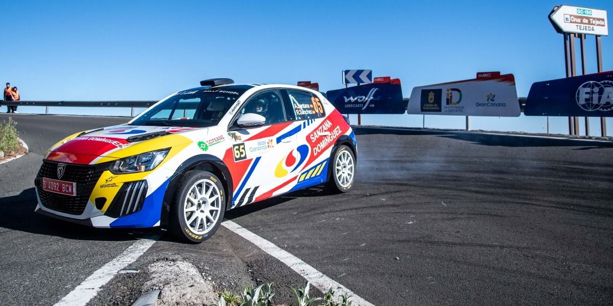 Álvaro Santana - Raúl Sánchez (Peugeot 208 Rally4)