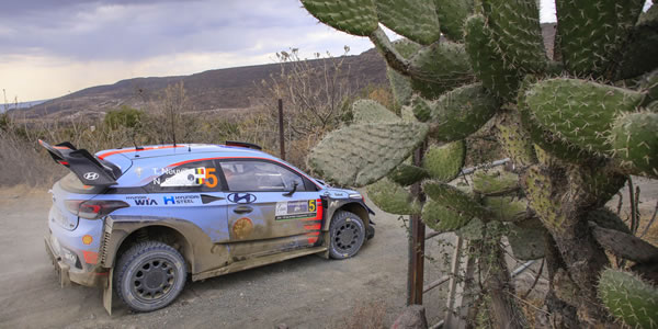 Neuville se lo toma con calma