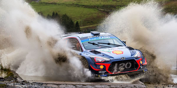 Thierry Neuville Thierry Neuville