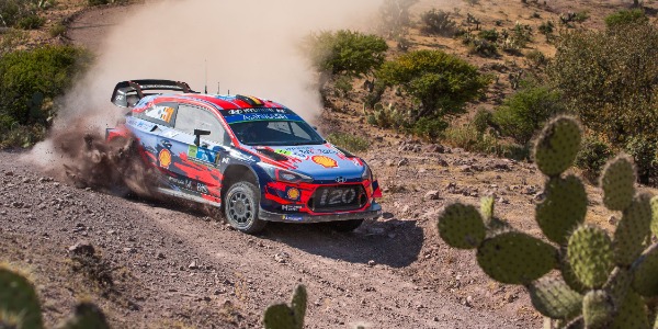 Thierry Neuville y Nicolas Gilsoul