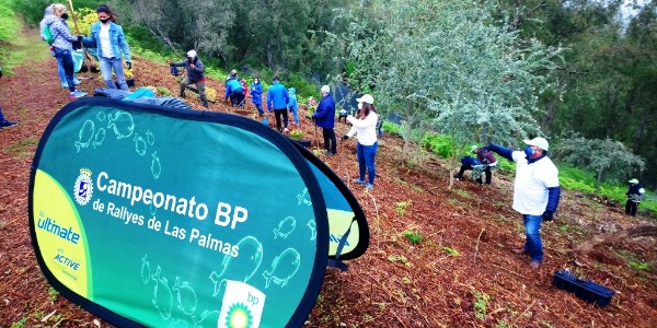 Acción solidaria FALP y BP