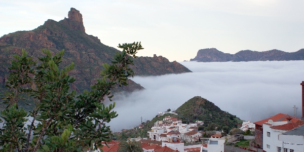 Tejeda