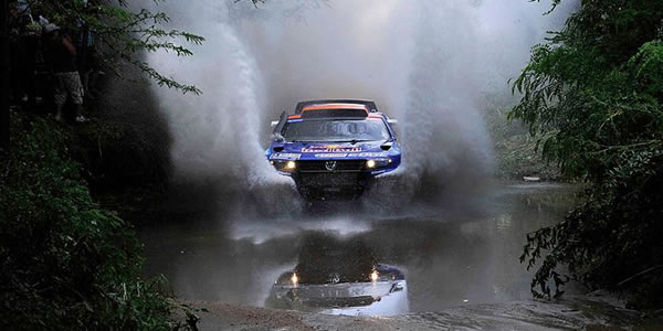 Carlos Sainz-Lucas Cruz