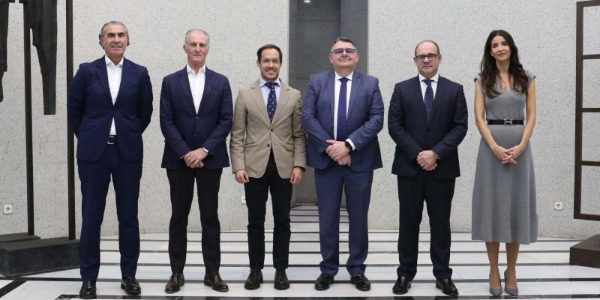 Propuesta de los concesionarios canarios al Gobierno de Canarias